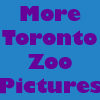 More Toronto Zoo July 2001 Pictures available through this link!